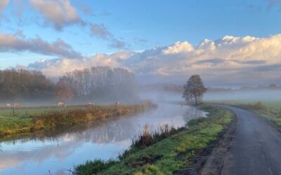 Is er weer toekomst voor ‘Wortels in Breda’ in het Markdal?