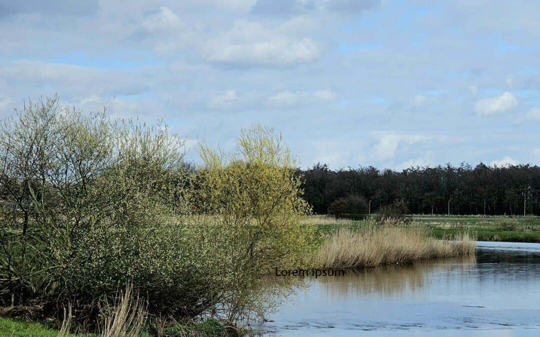 Schoner water in de Mark en nieuwe natuur in nieuw plan