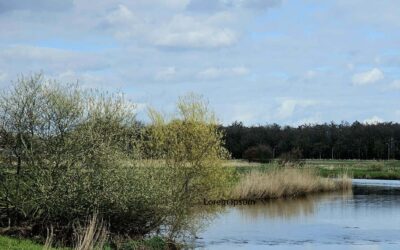 Schoner water in de Mark en nieuwe natuur in nieuw plan