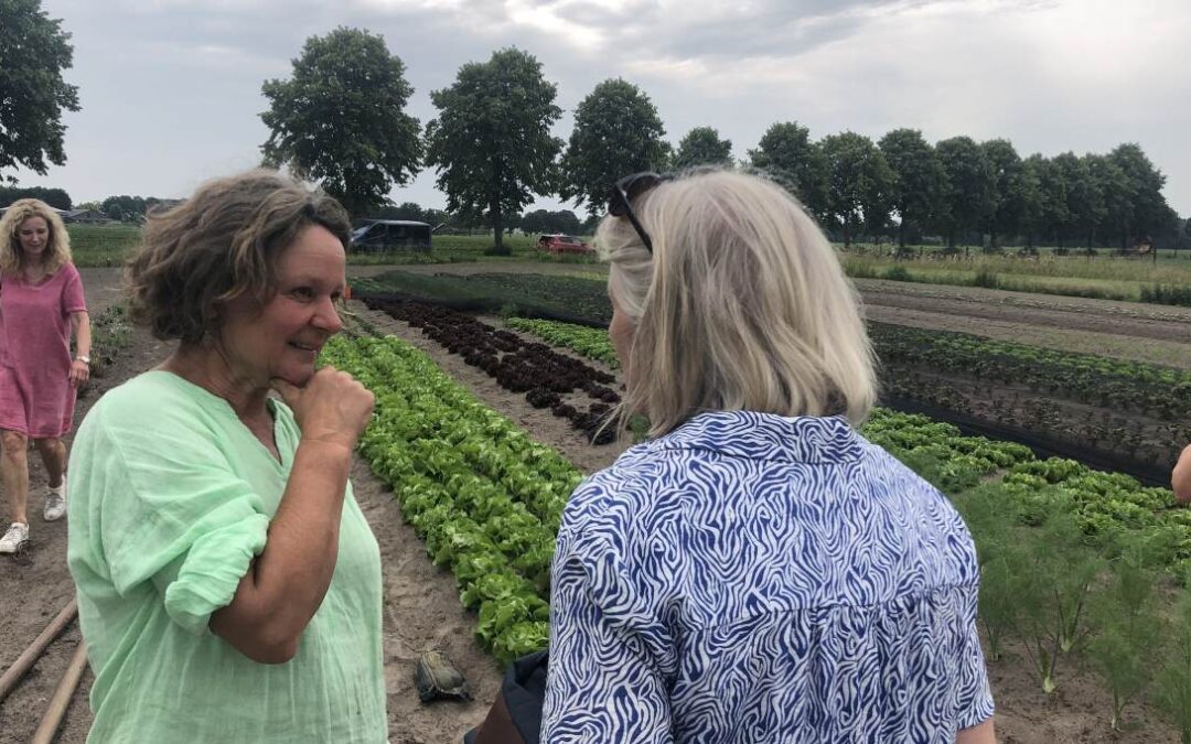 zelfoogsttuin Wortels in Breda officieel geopend