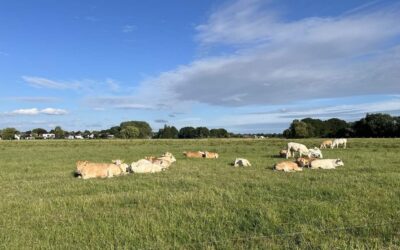 Waterschap zet belangrijke stap in herinrichting Markdal met verwerving 32ha grond