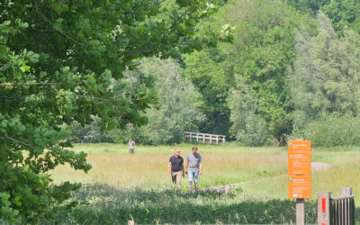Grote belangstelling voor natuurwandeling Markdal en de Blauwe Kamer