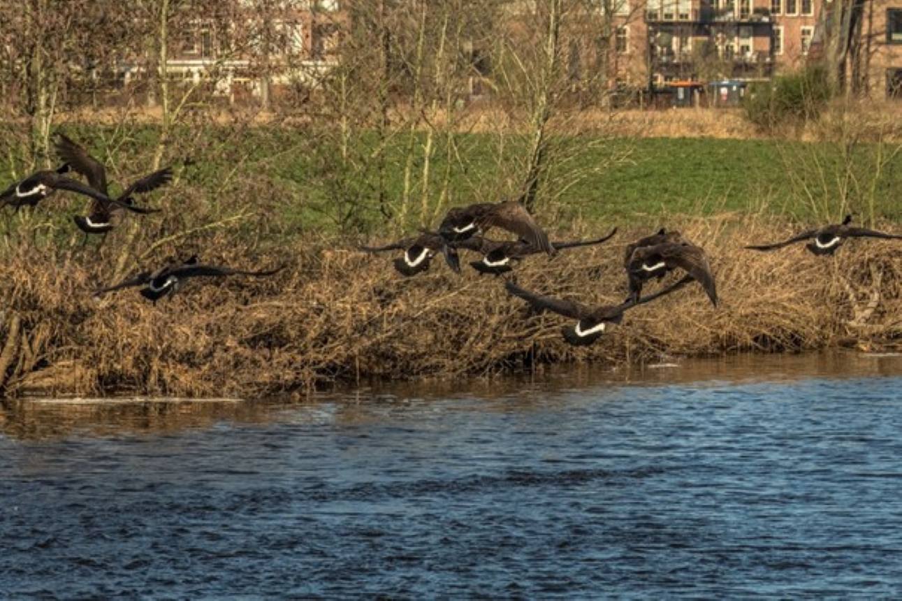 ngo-illustration-Artboard 5