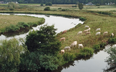 Markdal festival van IVN op zondag 2 november