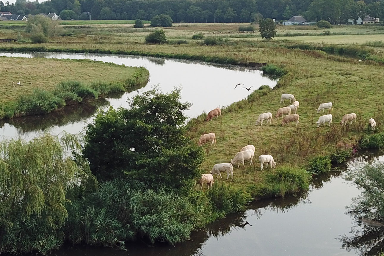 Natuur Markdal