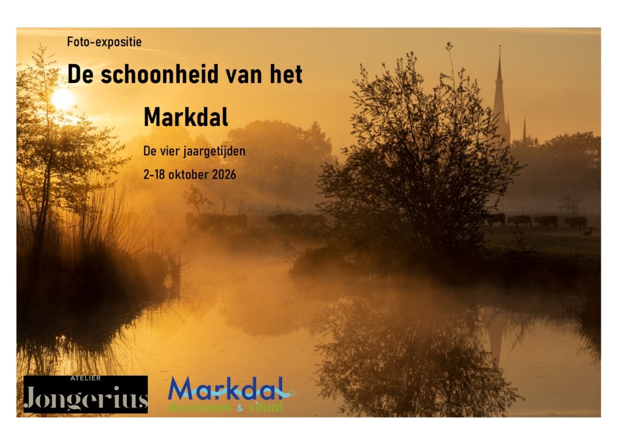 ngo-illustration-Artboard 5