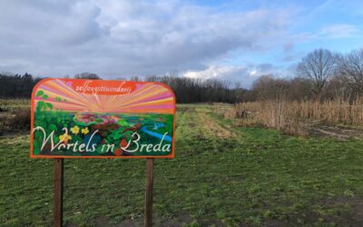 Vlag kan bijna uit bij zelfoogsttuinderij Wortels in Breda