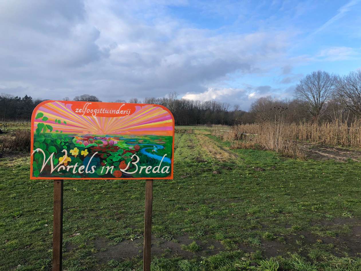 ngo-illustration-Artboard 5