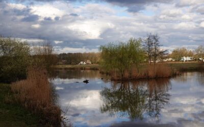 Markdalwandeling natuur en toekomst Markdal, Breda