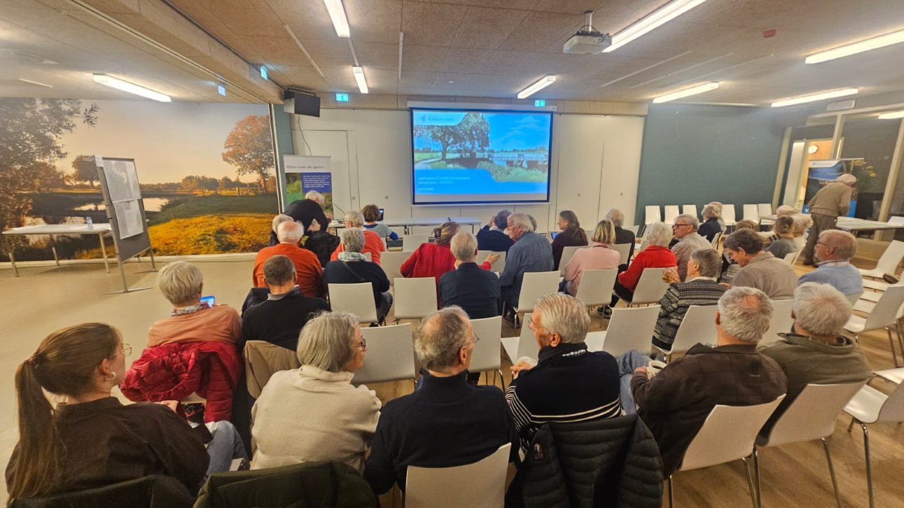 ngo-illustration-Artboard 5