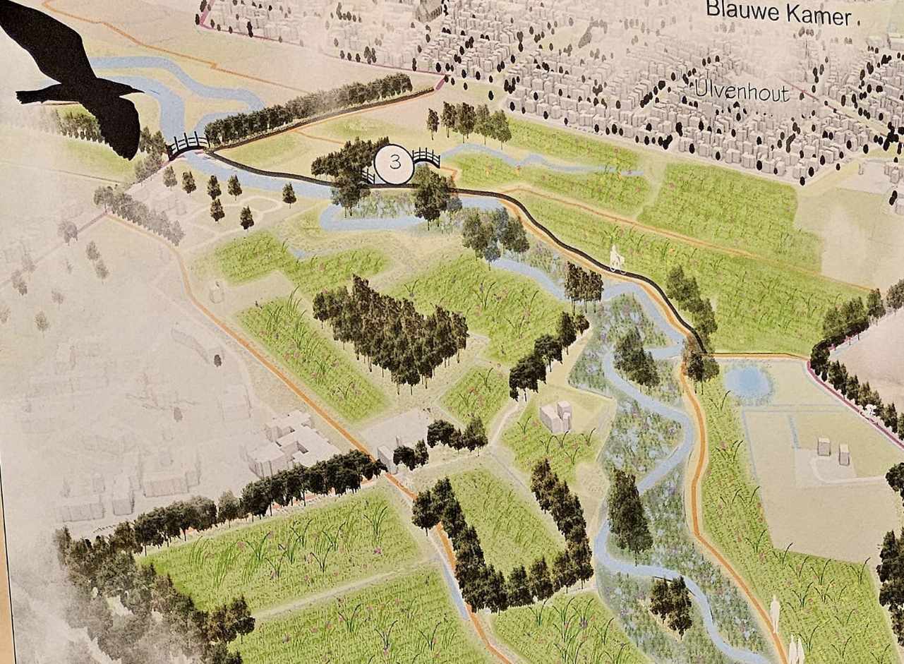 ngo-illustration-Artboard 5